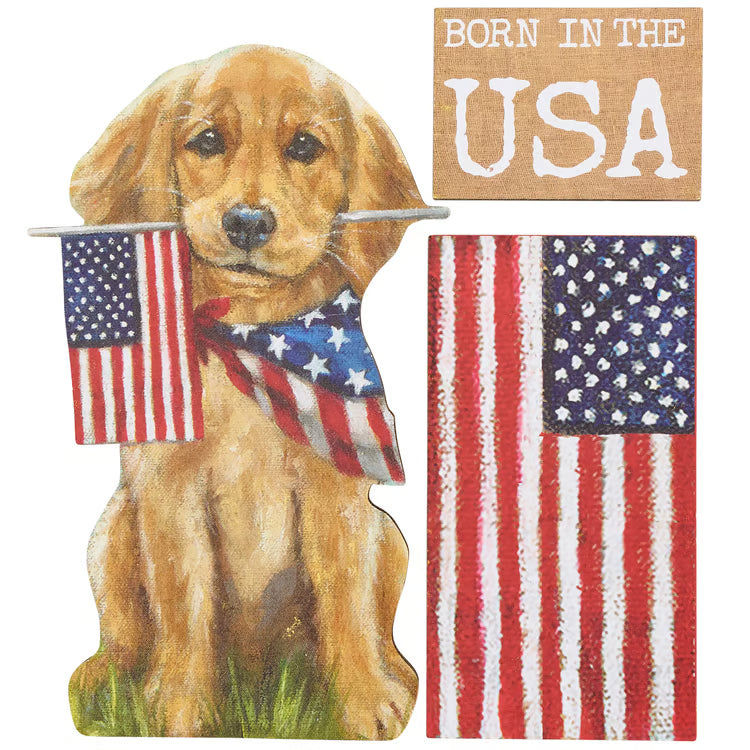 USA Magnet Set