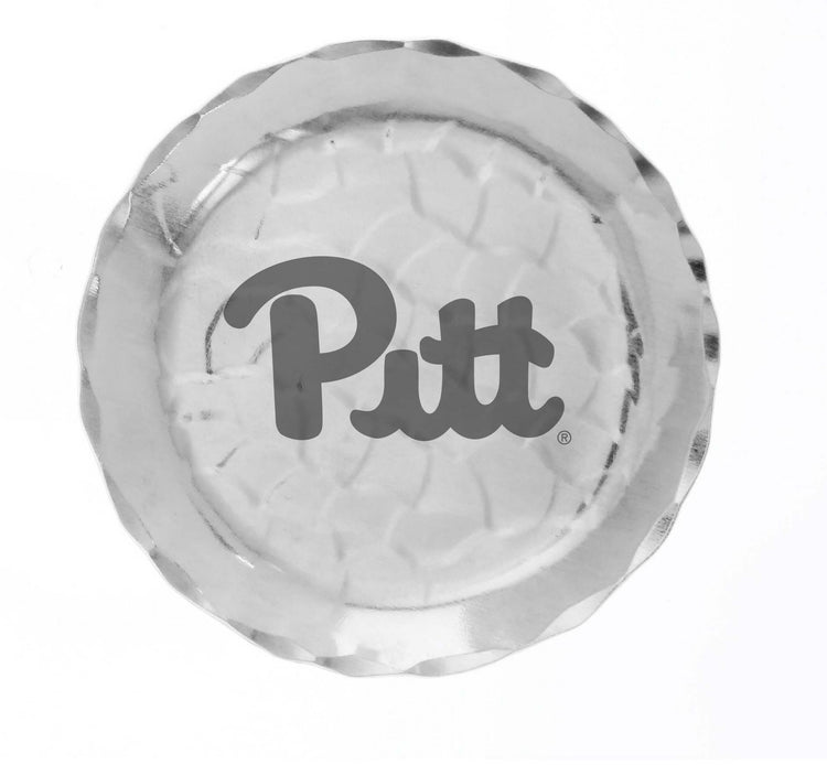 Pitt Panthers Xpress Coaster
