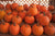 WENDELL AUGUST HOSTS PUMPKIN PATCH FUNDRAISER TO BENEFIT LOCAL BROWNIE TROOP - Wendell August Forge