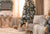 5 Best Christmas Tree Theme Ideas for 2023