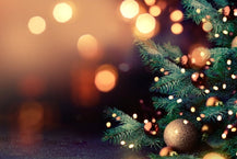 10 Best Christmas Tree Ornament Ideas for 2023