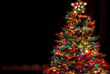 The Best Christmas Ornaments for Multi-Colored Lights: Our Top Picks