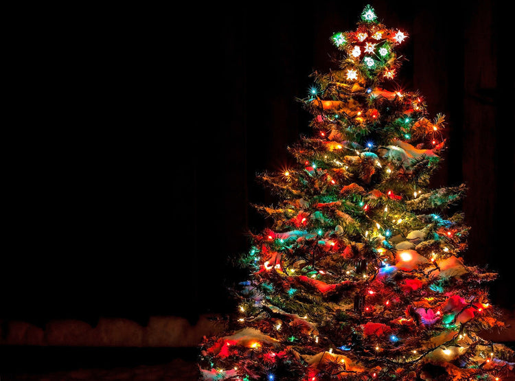 The Best Christmas Ornaments for Multi-Colored Lights: Our Top Picks - Wendell August Forge