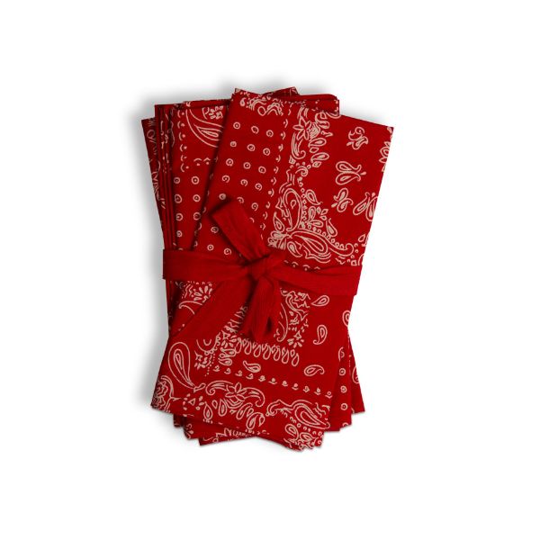 Bandana Napkins Red- Set of 4 - Wendell August Forge
