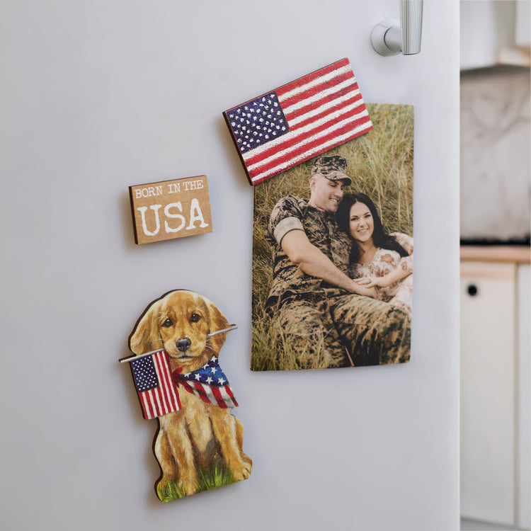 USA Magnet Set