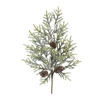 Pine Spray