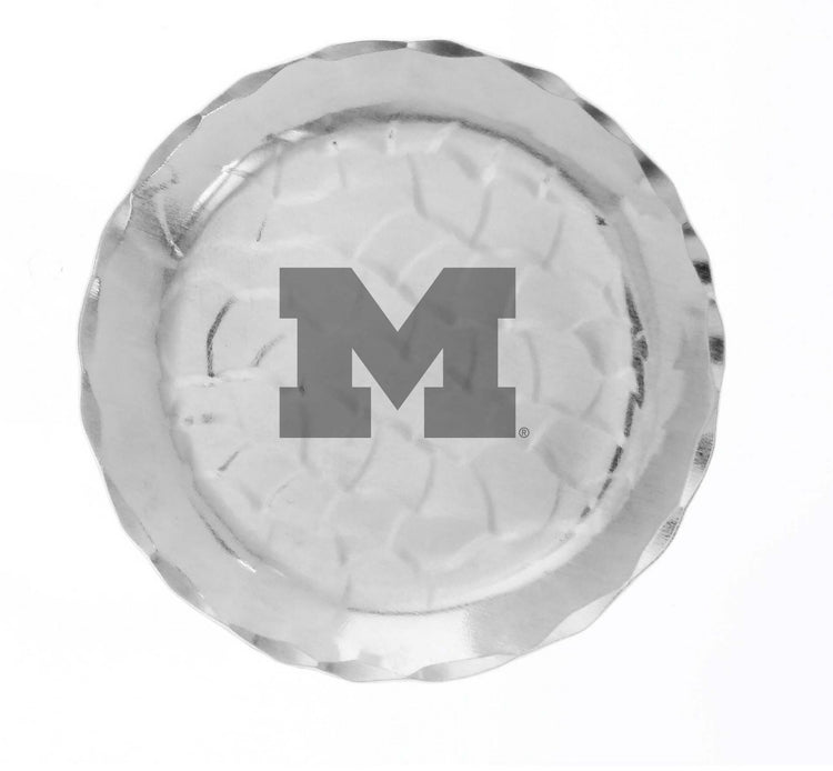 Michigan Wolverines Xpress Coaster