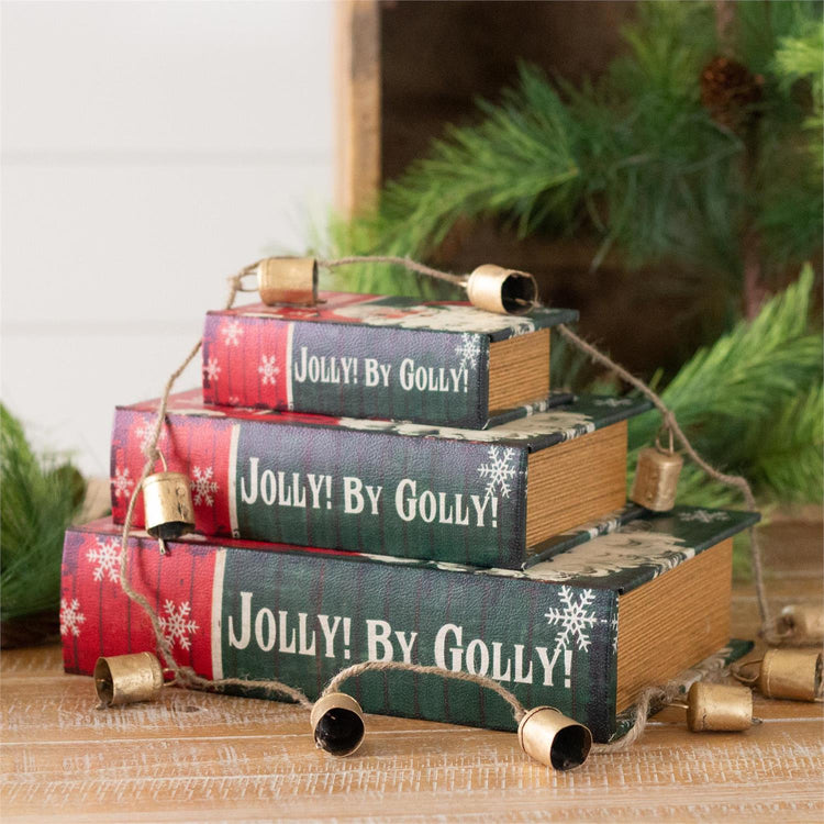 Santa Medium Decorative Book