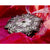 Snow Crystal Dogwood Ornament (Aluminum) - Wendell August Forge