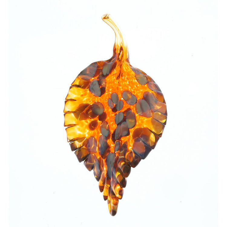 Hover Image