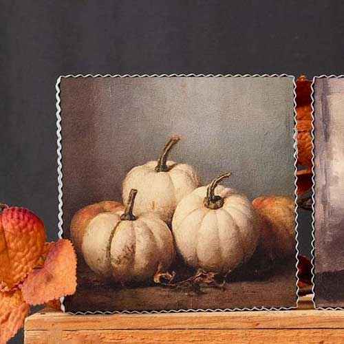 Fall Still Life Shelf Sitter White Pumkins 